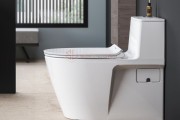 Bồn cầu 1 khối American Standard VF-1808ET